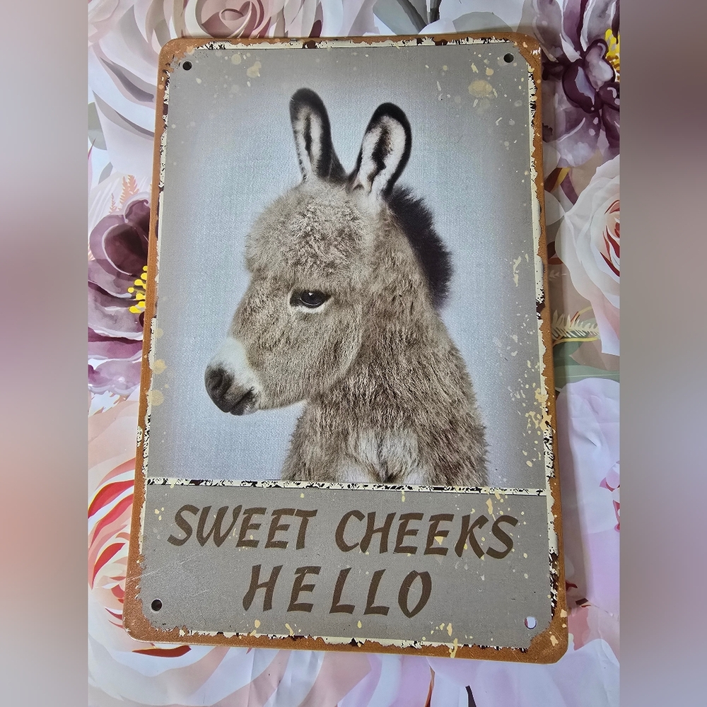 Sweet Cheeks Hello Donkey Wall Art